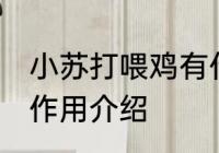 小苏打喂鸡有什么作用 小苏打喂鸡的作用介绍