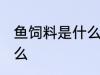 鱼饲料是什么做的 给鱼喂食要注意什么