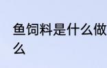 鱼饲料是什么做的 给鱼喂食要注意什么