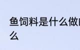鱼饲料是什么做的 给鱼喂食要注意什么