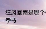 狂风暴雨是哪个季节 狂风暴雨是什么季节