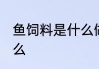鱼饲料是什么做的 给鱼喂食要注意什么