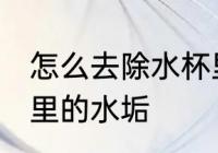 怎么去除水杯里的水垢 如何去除水杯里的水垢