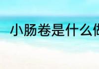 小肠卷是什么做的 小肠卷的原材料