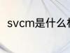 svcm是什么材质 svcm是哪种材质
