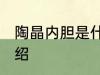 陶晶内胆是什么材质 陶晶内胆材质介绍