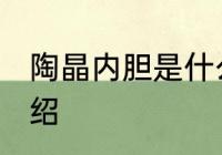陶晶内胆是什么材质 陶晶内胆材质介绍