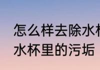怎么样去除水杯里的污垢 如何样去除水杯里的污垢
