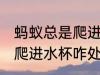 蚂蚁总是爬进水杯怎么处理 蚂蚁总是爬进水杯咋处理