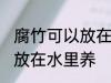 腐竹可以放在水里养吗 腐竹可不可以放在水里养