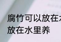 腐竹可以放在水里养吗 腐竹可不可以放在水里养