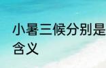 小暑三候分别是什么意思 小暑三候的含义