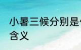 小暑三候分别是什么意思 小暑三候的含义