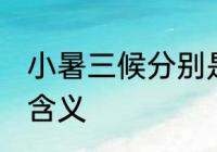 小暑三候分别是什么意思 小暑三候的含义