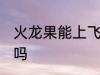 火龙果能上飞机吗 火龙果可以上飞机吗