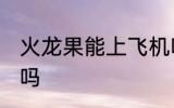 火龙果能上飞机吗 火龙果可以上飞机吗
