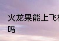 火龙果能上飞机吗 火龙果可以上飞机吗