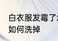 白衣服发霉了怎么洗掉 白衣服发霉了如何洗掉