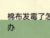 棉布发霉了怎么处理 棉布发霉了怎么办