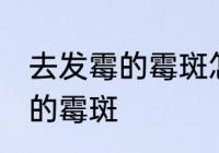 去发霉的霉斑怎么处理 如何去掉发霉的霉斑