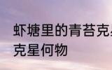 虾塘里的青苔克星什么 虾塘里的青苔克星何物