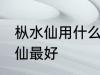枞水仙用什么壶最好 用什么壶泡枞水仙最好