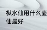 枞水仙用什么壶最好 用什么壶泡枞水仙最好