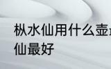 枞水仙用什么壶最好 用什么壶泡枞水仙最好