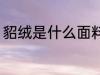 貂绒是什么面料 貂绒指的是什么面料