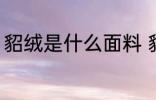 貂绒是什么面料 貂绒指的是什么面料