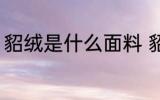 貂绒是什么面料 貂绒指的是什么面料