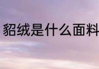 貂绒是什么面料 貂绒指的是什么面料