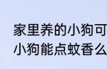 家里养的小狗可以点蚊香么 家里养的小狗能点蚊香么