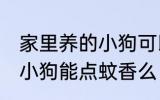 家里养的小狗可以点蚊香么 家里养的小狗能点蚊香么
