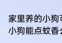 家里养的小狗可以点蚊香么 家里养的小狗能点蚊香么
