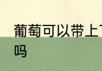 葡萄可以带上飞机吗 葡萄能带上飞机吗