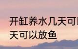 开缸养水几天可以放鱼 开缸养水多少天可以放鱼