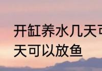 开缸养水几天可以放鱼 开缸养水多少天可以放鱼