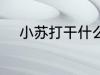 小苏打干什么用的 小苏打的作用