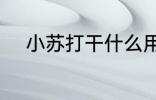小苏打干什么用的 小苏打的作用