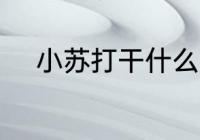 小苏打干什么用的 小苏打的作用