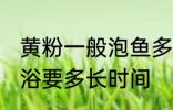 黄粉一般泡鱼多长时间 用黄粉给鱼药浴要多长时间