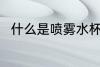 什么是喷雾水杯 喷雾水杯简单介绍
