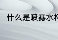 什么是喷雾水杯 喷雾水杯简单介绍