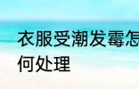 衣服受潮发霉怎么办 衣服受潮发霉如何处理
