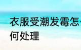 衣服受潮发霉怎么办 衣服受潮发霉如何处理