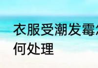 衣服受潮发霉怎么办 衣服受潮发霉如何处理