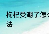 枸杞受潮了怎么办 枸杞受潮的解决方法