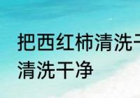 把西红柿清洗干净的方法 西红柿如何清洗干净
