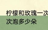 柠檬和玫瑰一次泡几朵 柠檬和玫瑰一次泡多少朵